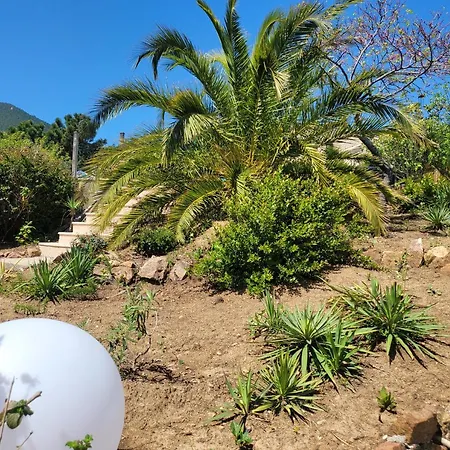 Villa Nomada فيلة *